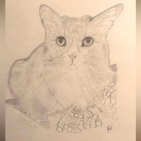 The Protecter Of Pearls - Picture 3 of 4